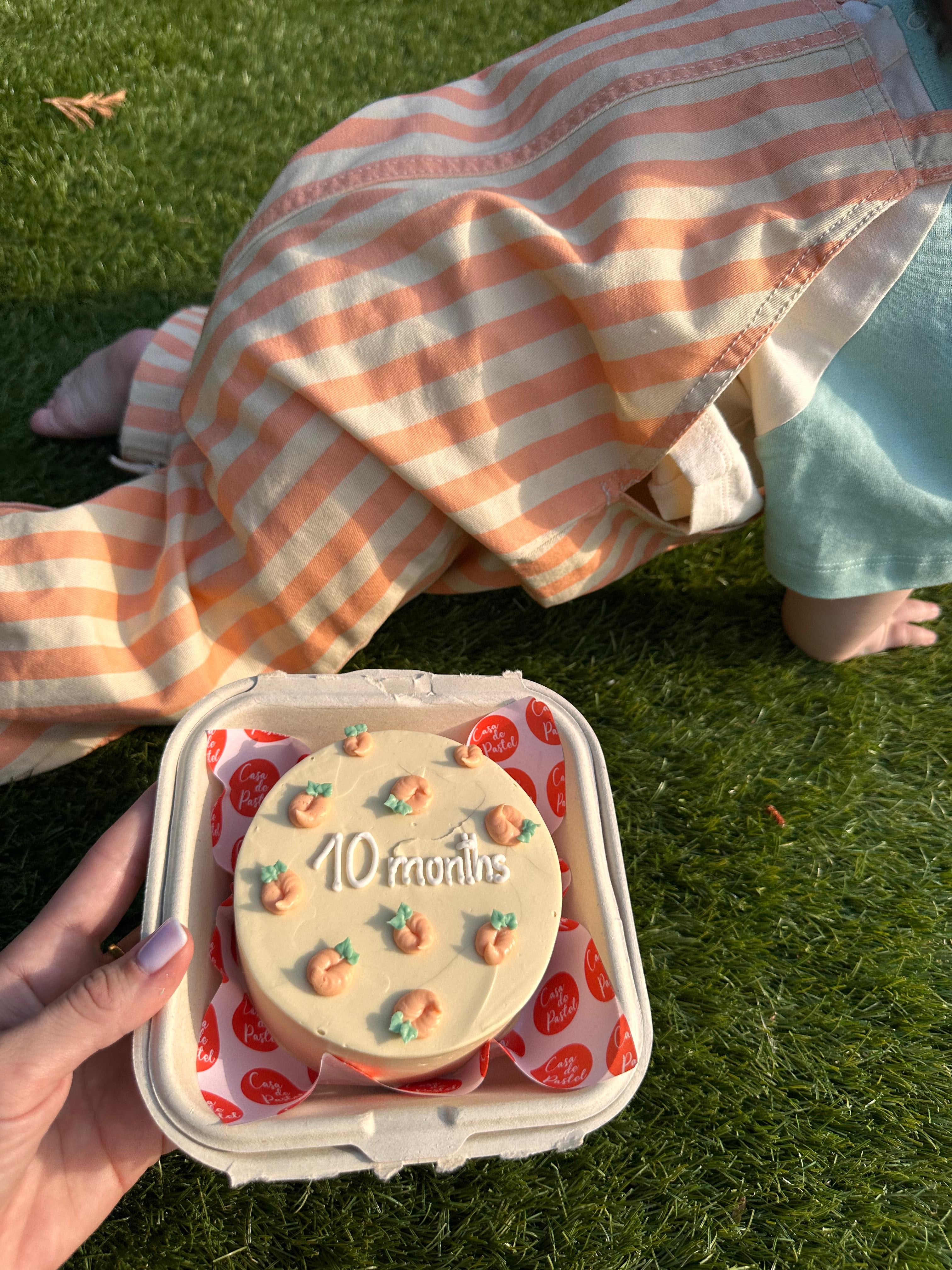 baby milestone bento cakes