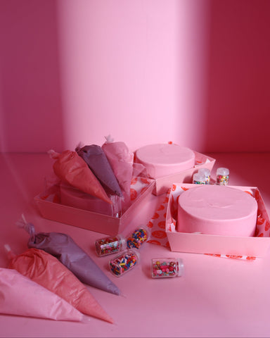 Bento cake decorating kit