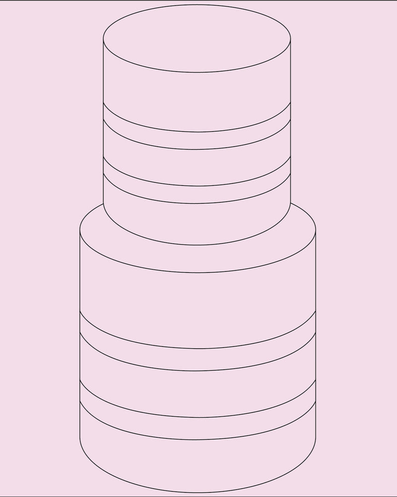 TWO TIER CAKE - three layer (45 PEOPLE)